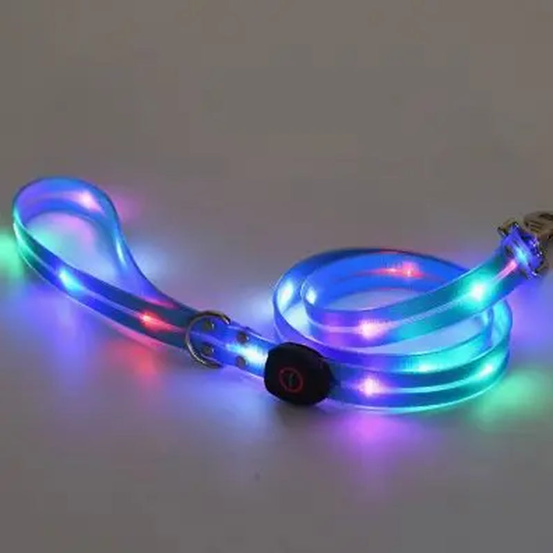 LED Light-Up Pet Leash with 5-Color Light Strip, Glowing Safety Dog Collar, USB Rechargeable Personalized Harness for Puppies