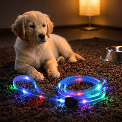 LED Light-Up Pet Leash with 5-Color Light Strip, Glowing Safety Dog Collar, USB Rechargeable Personalized Harness for Puppies